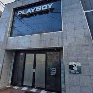 ツバキ by プレイボーイ