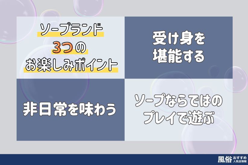 ソープランド3つのお楽しみポイント｜風俗おすすめ人気店情報