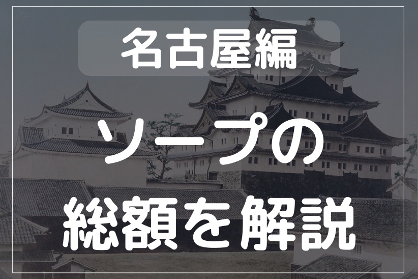 名古屋のソープの総額を徹底解説！安く遊べるお店を比較して探せる！