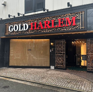 GOLD HARLEM